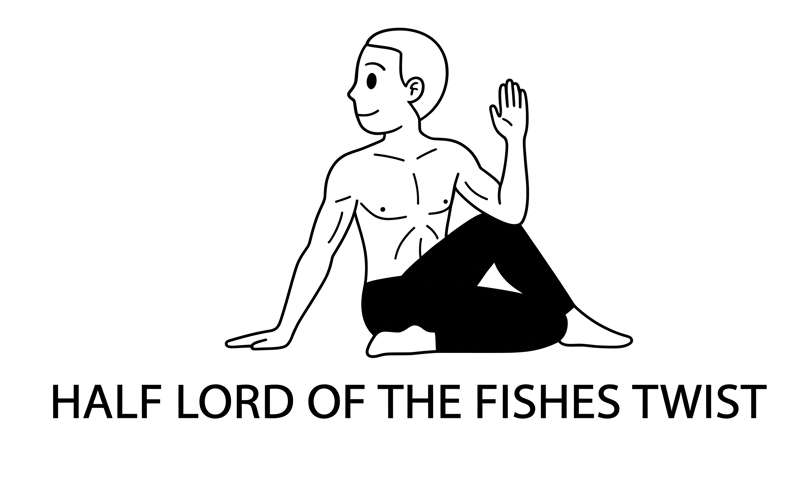 Visual sketch of Half Lord of the Fishes Twist (Ardha Matsyendrasana)